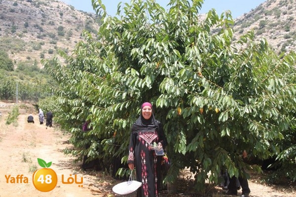 bayareq re7la shamal 0612 (50).JPG